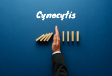 cynocytis