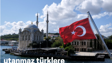 Utanmaz türkler