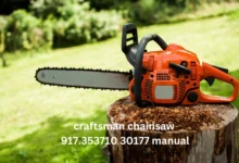 Craftsman Chainsaw 917.353710 30177 Manual